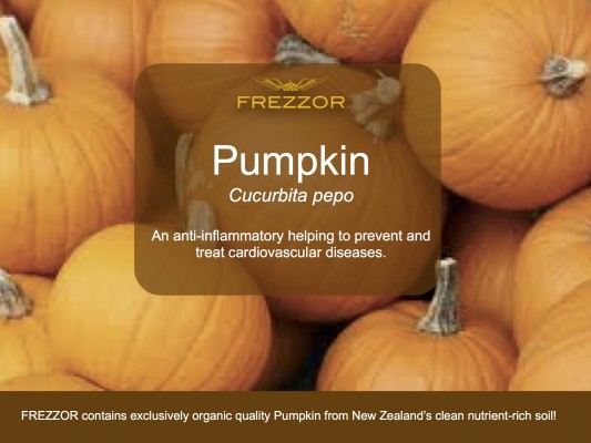  Organic Pumpkin from New Zealand’s clean and nutrient rich soil