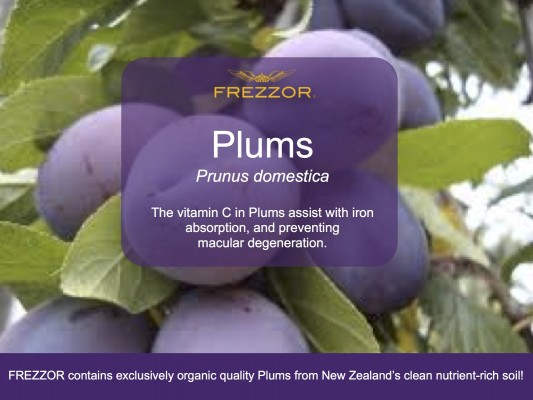  Organic Plums from New Zealand’s clean and nutrient rich soil