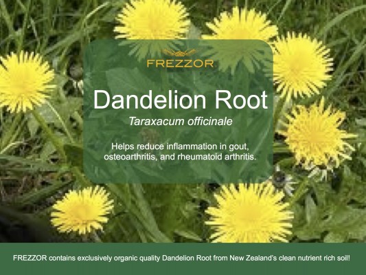  Organic Dandelion Root from New Zealand’s clean and nutrient rich soil