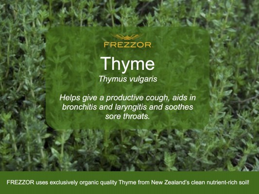 Organic Thyme from New Zealand's clean and nutrient  rich soil